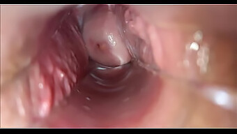 Orgasmisk Nydelse Gennem Vaginal Penetration